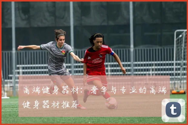 高端健身器材：奢华与专业的高端健身器材推荐