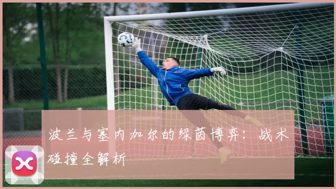 波兰与塞内加尔的绿茵博弈：战术碰撞全解析